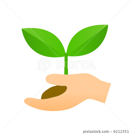 Hand with sprouts 6212351