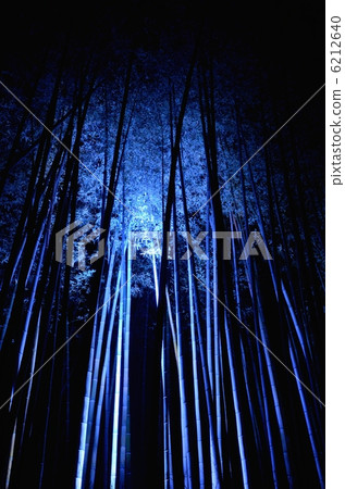 京都嵐山花光路竹林照明 6212640