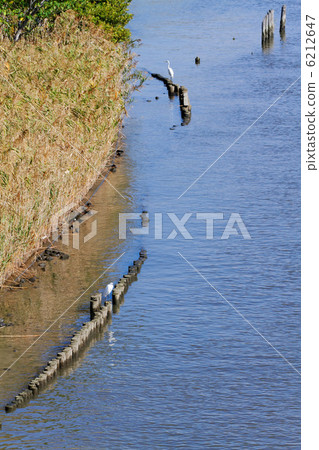 Shirasagi stopping at the fence of the river Shirasagi stopping at the fence of the river 6212647