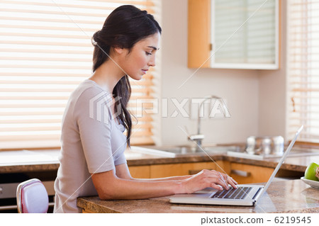 Charming woman using a laptop Charming woman using a laptop 6219545