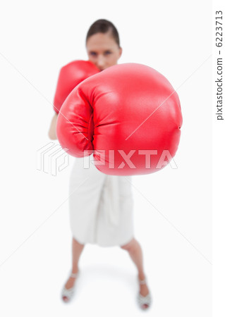Portrait of a boxing businesswoman Portrait of a boxing businesswoman 6223713
