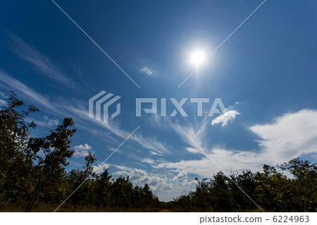 Sky of Cambodia Sky of Cambodia 6224963