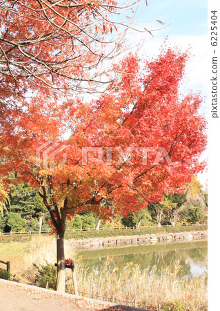 Seasonal News 6225404