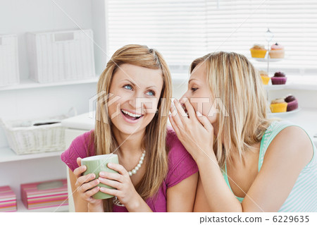 Close female friends talking together with a cup of coffee at ho Close female friends talking together with a cup of coffee at ho 6229635