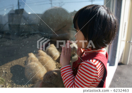 草原土撥鼠和女孩 草原土撥鼠和女孩 6232463