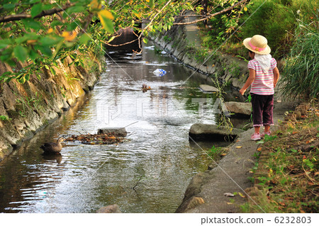 Children and duck 5 6232803