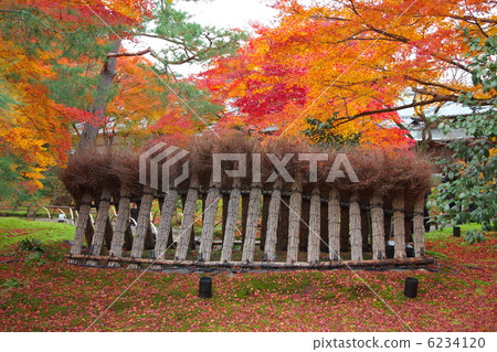 Toyomaru圍欄 6234120