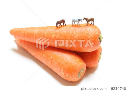 騎馬的馬 6234740