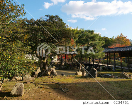 京都·Washirayama Kodaiji寺·區 6234761