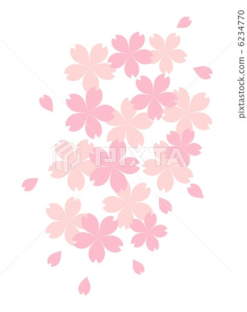 櫻桃樹 櫻桃樹 6234770