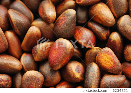 Pine Nuts 6234851