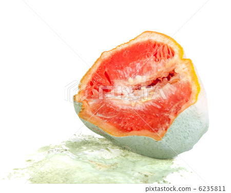 Rotten grapefruit half isolated on white Rotten grapefruit half isolated on white 6235811