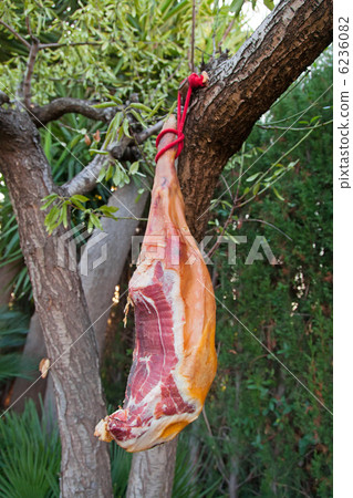 Hammon pork leg on the tree branch 6236082