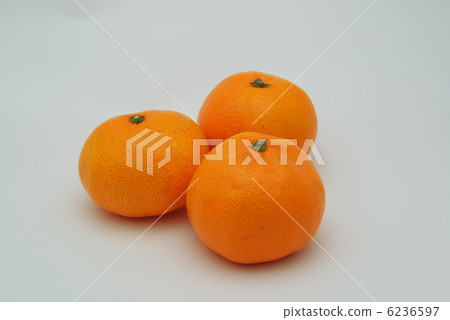 美味的橘子 6236597