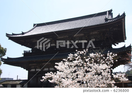 Ninna-ji寺門 Ninna-ji寺門 6236800