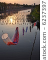 Carp streamer 6237397