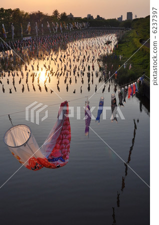 鯉魚旗 鯉魚旗 6237397