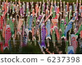 Carp streamer 6237398