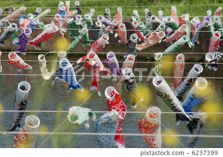 Carp streamer 6237399