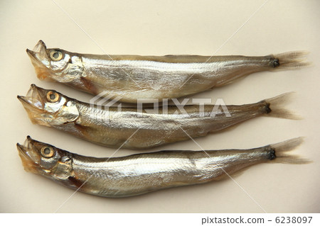 Shishamo Shishamo 6238097