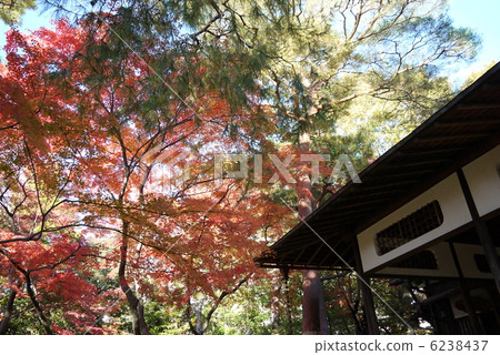 Takahagano Yado Garden Takahagano Yado Garden 6238437