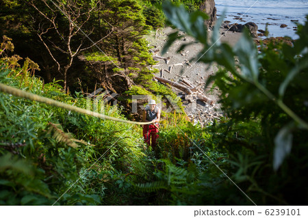 Olympik coast 6239101