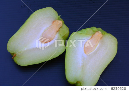 Hayatouli與一個物種 6239620