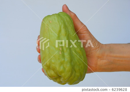 Hayatouli in the shape of a pear 6239628