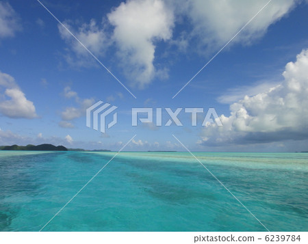 德國頻道 6239784