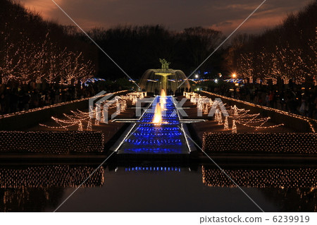 照明 照明 6239919