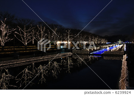 照明 照明 6239924