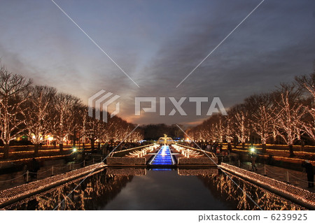 illumination illumination 6239925