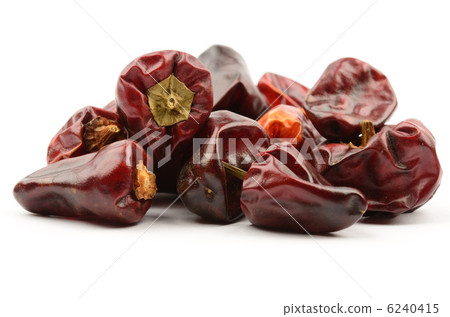 四川辣椒（牽牛花，四川辣椒） 6240415