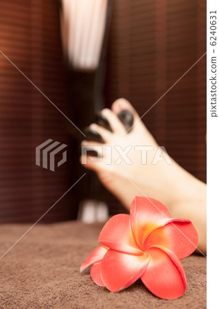 Untitled Untitled 6240631