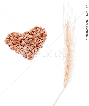 Wheat heart and  wheat ear 6240871