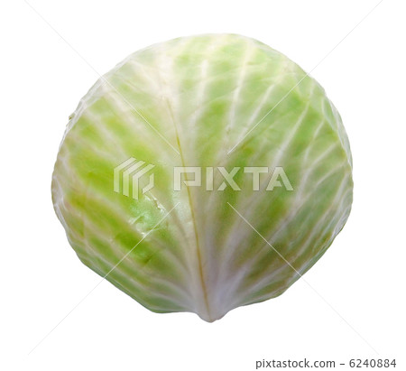Green cabbage on white background 6240884
