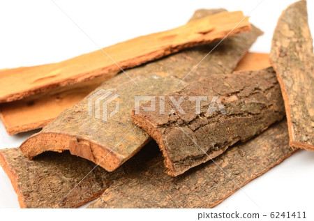 Cinnamon (cinnamon) 6241411