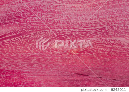 紫色心臟木五穀 6242011