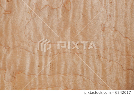 楓木紋（希瑟） 6242017