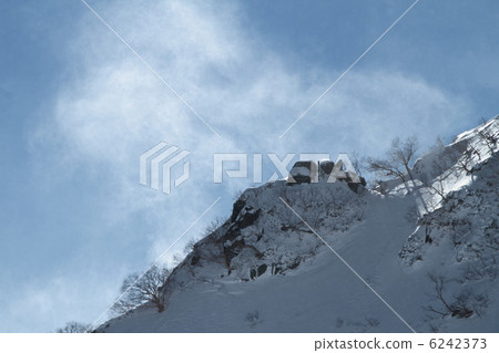 Senjakikikaru 6242373