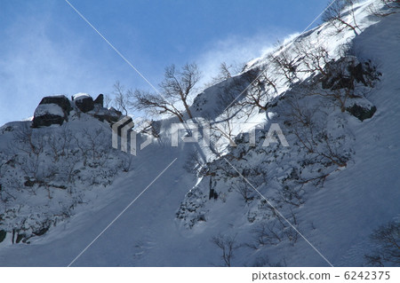 Senjakikikaru 6242375