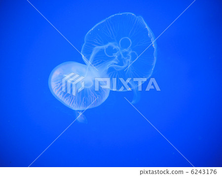 Water Marine moon Water Marine moon 6243176