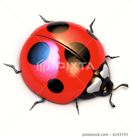 Ladybird isolated on white background. 6243745