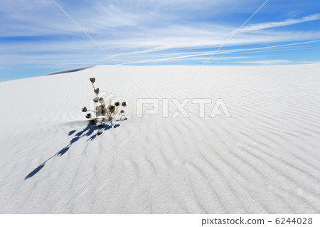 White Sands 6244028