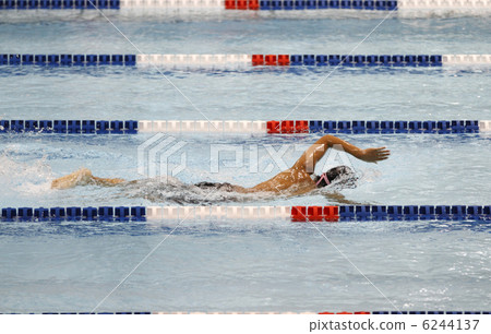 crawl 6244137