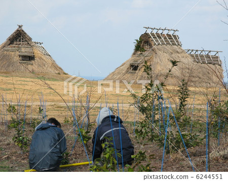 Agricultural work and pit style housing Agricultural work and pit style housing 6244551