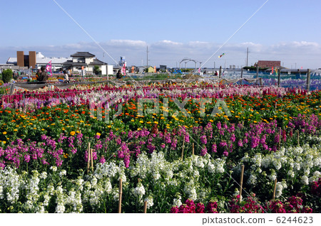 Chikura花園 6244623