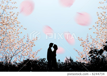 A couple under Sakura 6244734
