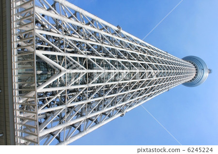 仰望天空樹 6245224