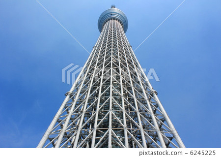 仰望天空樹 仰望天空樹 6245225